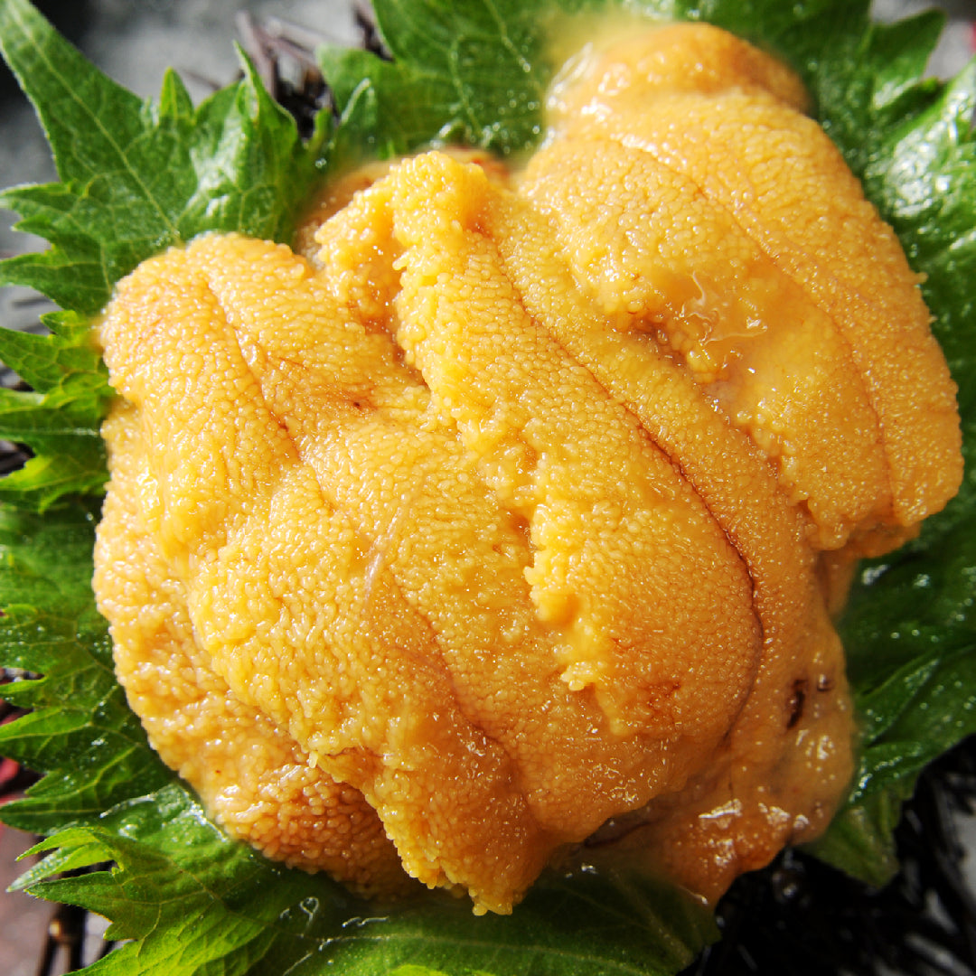 Freshly prepared uni sea urchin nigiri sushi on a dark slate board with yuzu and microgreens garnish