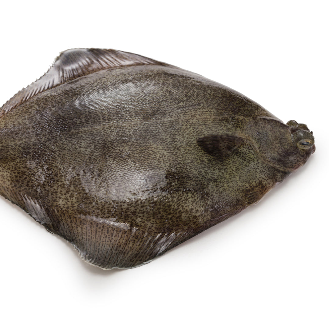 Petrale sole fillet cooking in a sous vide water bath with herbs, lemon, and garlic