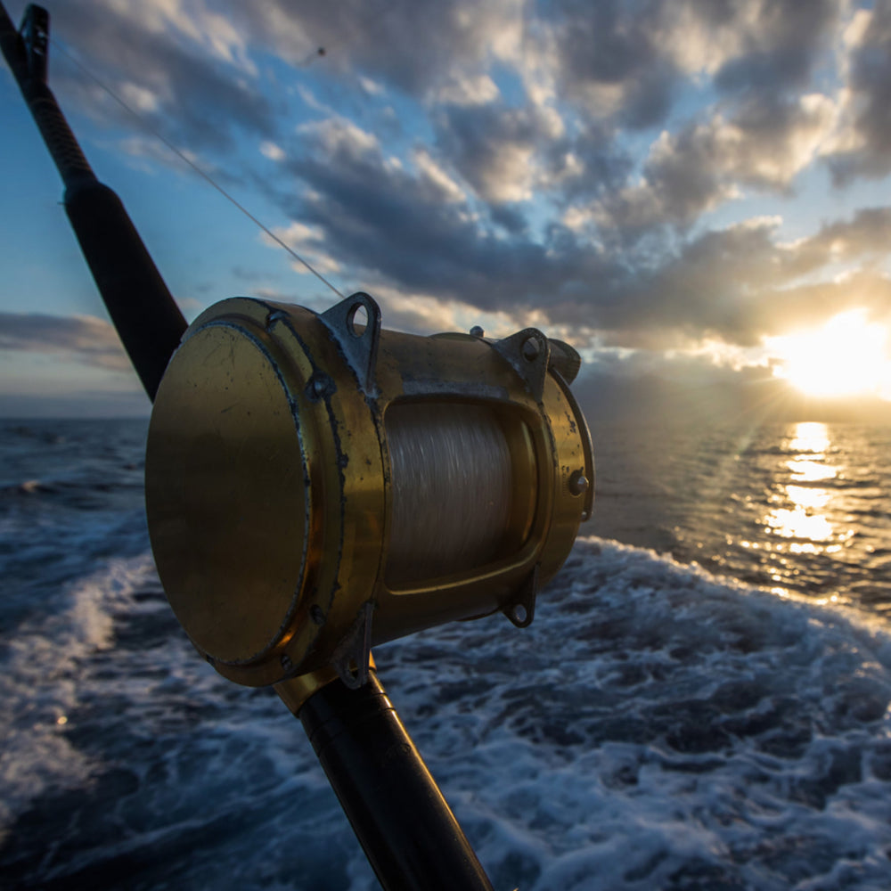 Ahi Tuna Fishing Techniques and Gear Best Tips for Successful Catch