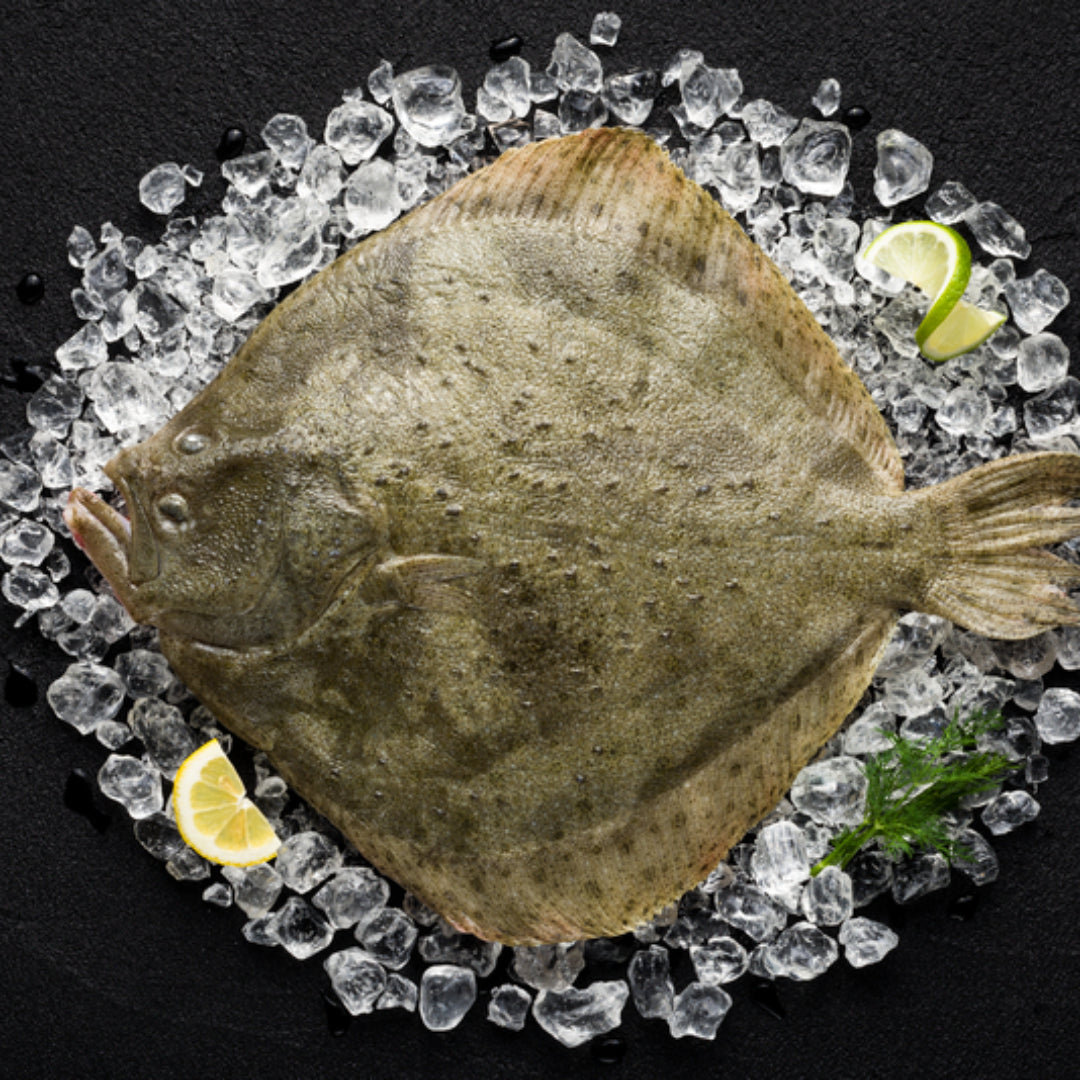 Fresh turbot fillets served with lemon and herbs on a white plate