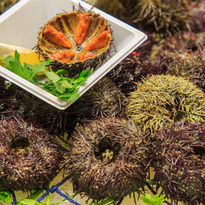 Sea Urchin Sushi Pairing: Sake, Beer, and More for a Perfect Saturday or Sunday Meal