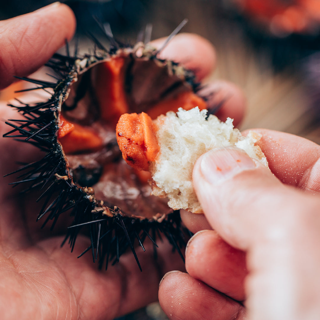 Bowl of perfectly seasoned sushi rice with rice vinegar alongside fresh sea urchin uni ready for sushi preparation