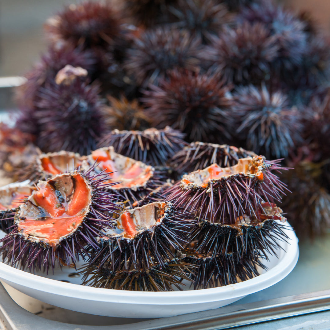 Colorful sea urchin sushi rolls wrapped in soy paper sliced and plated with ponzu sauce and tobiko garnish