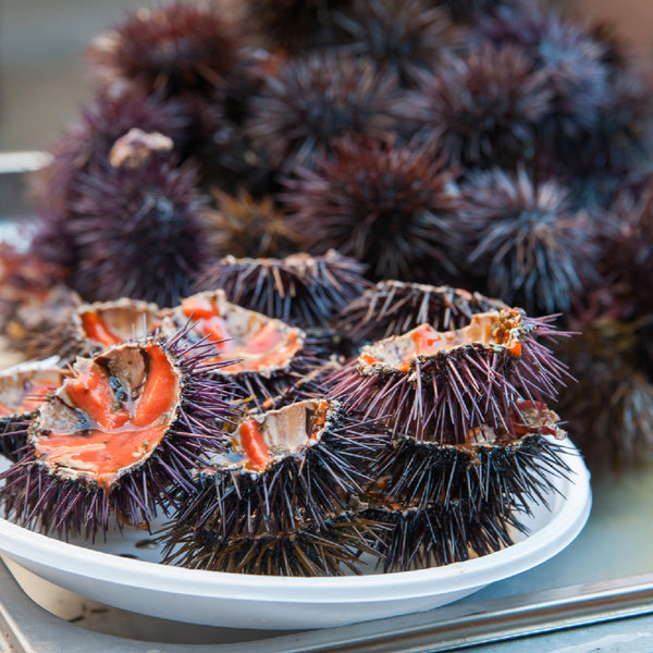 How to Make Delicious Sea Urchin Sushi with Soy Paper