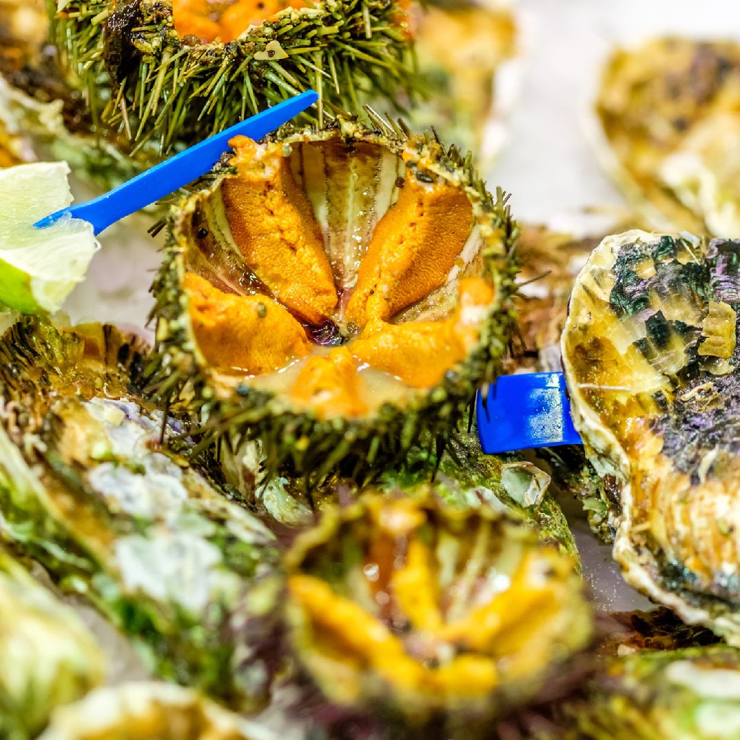 A sushi chef's hands carefully placing fresh golden sea urchin roe onto nigiri rice on a wooden cutting board with a sashimi knife nearby