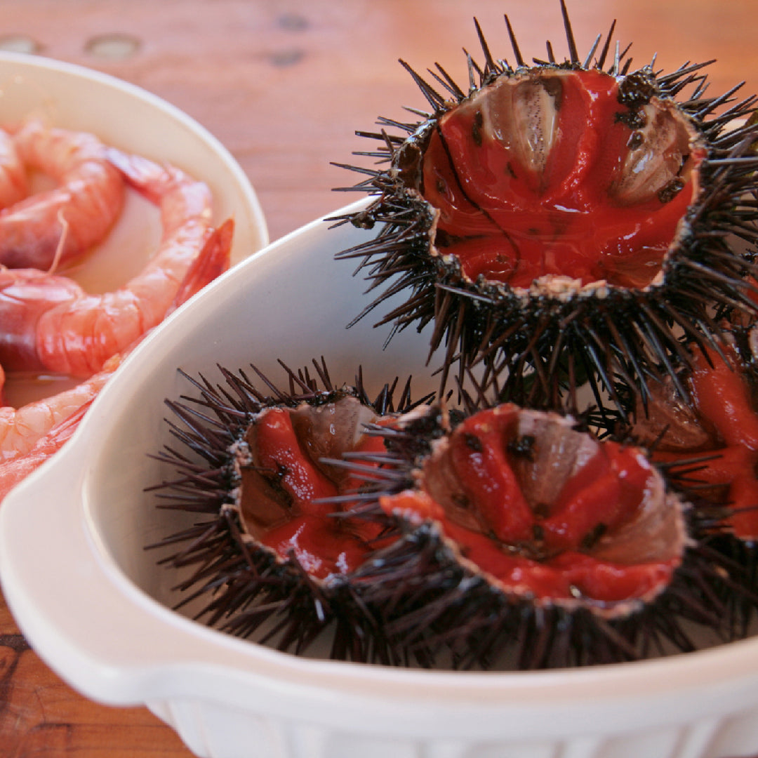 Perfectly shaped sea urchin nigiri sushi topped with fresh uni on seasoned sushi rice, garnished with nori strip