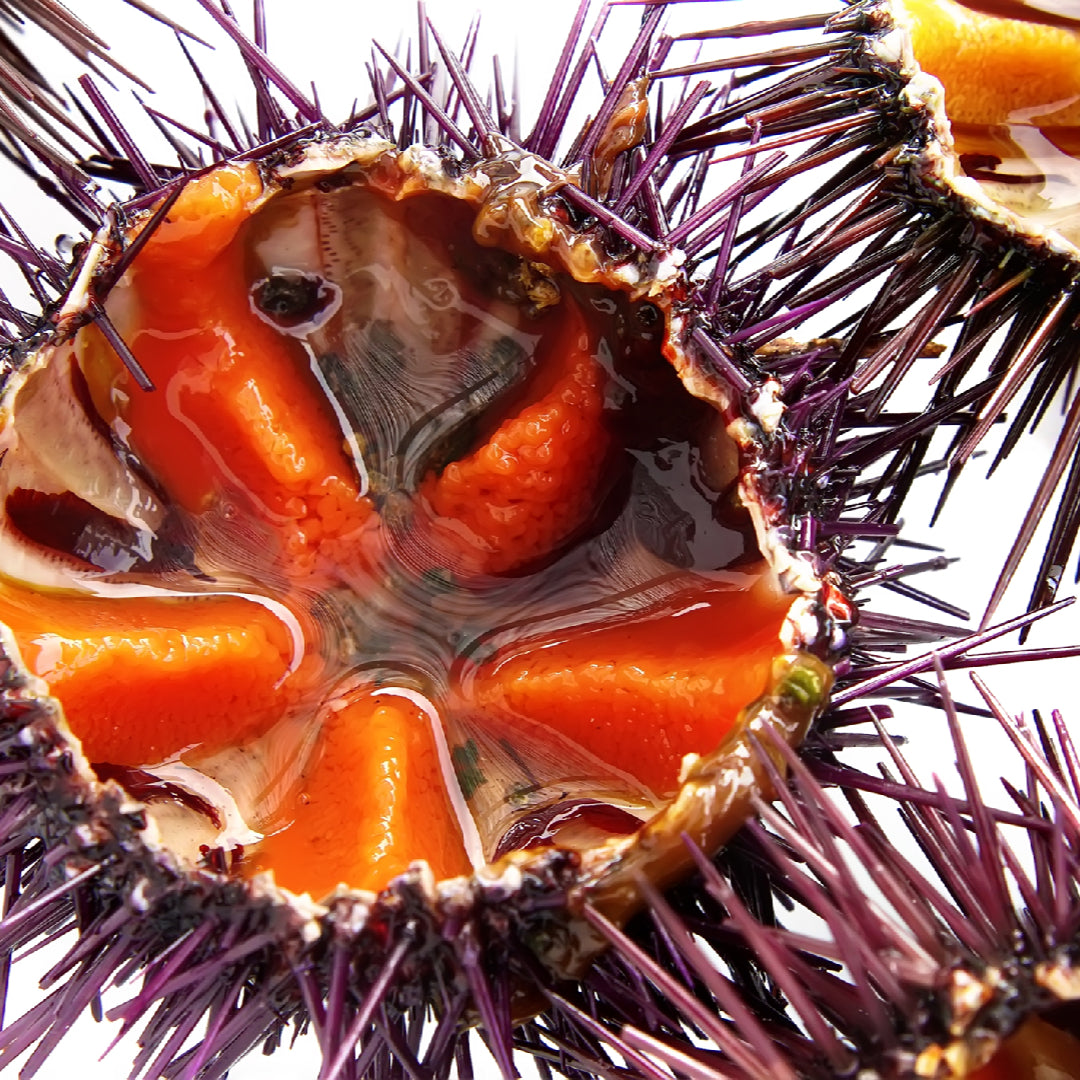 Title: The Art of Cutting Sea Urchin for Sushi: A Step-by-Step Guide