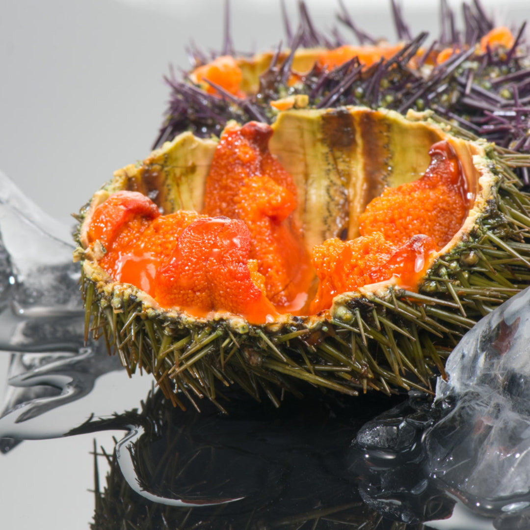 How to Make Delicious Sea Urchin Sushi Rolls – Easy Step-by-Step Guide