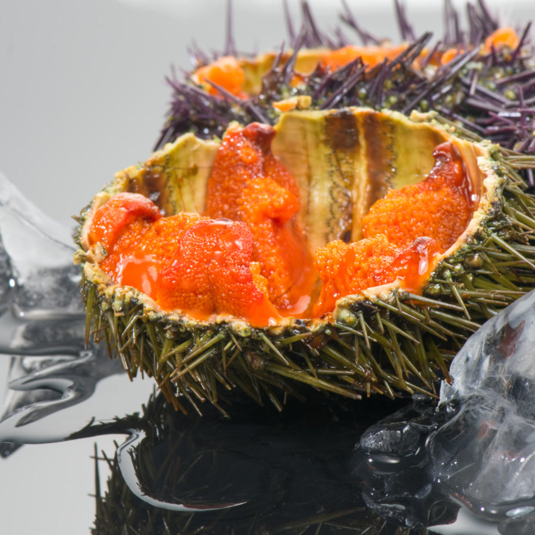 How to Make Delicious Sea Urchin Sushi Rolls in Easy Steps