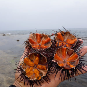How to Plate Sea Urchin Sashimi Like a Pro