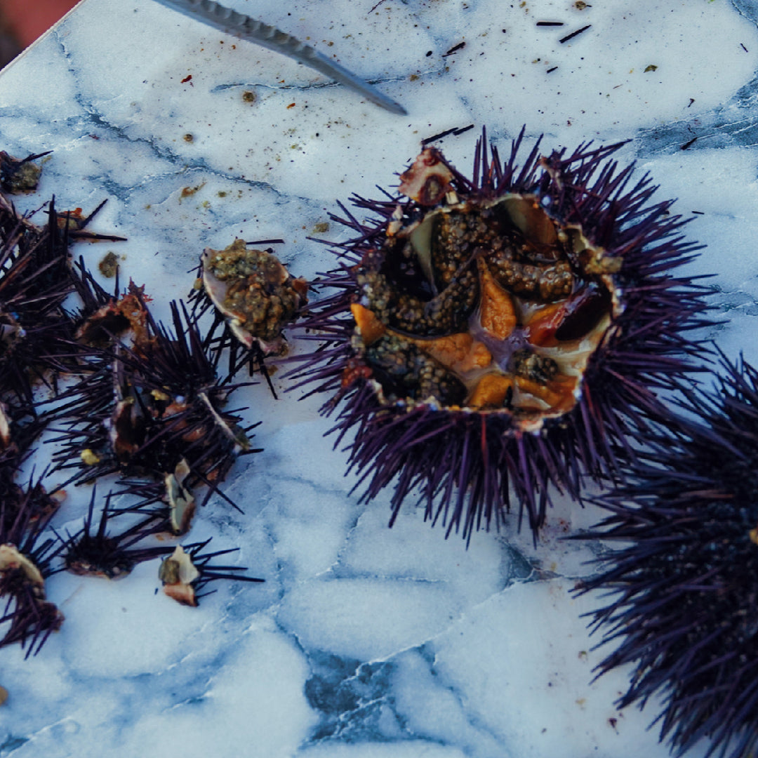 Freshly rolled sea urchin sushi being sliced on a bamboo mat with nori, uni, and seasoned sushi rice visible