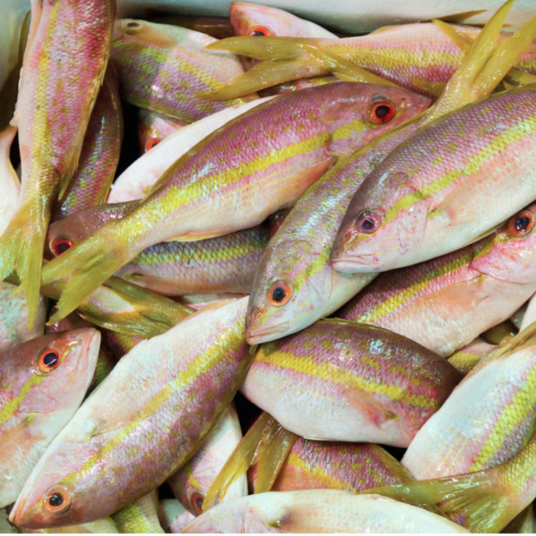 Whole Brazilian snapper simmered in a rich secret sauce with bell peppers, tomatoes, and fresh herbs, served in a skillet