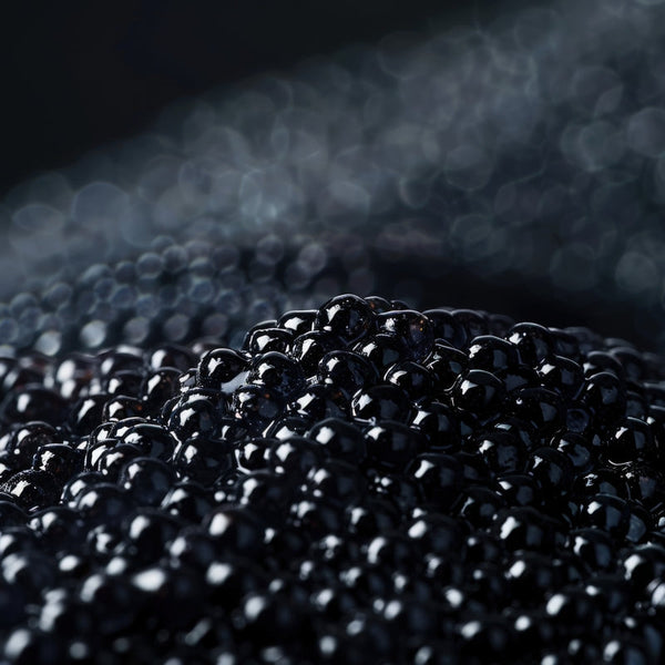Close-up of premium black caviar with soft black and gray tones in the background for an elegant, high-contrast presentation