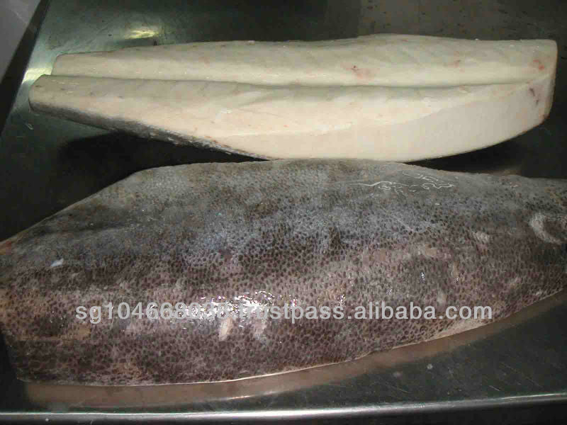 sea bass