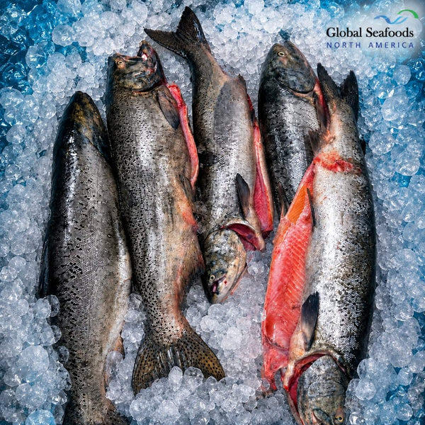 King salmon arranged on crushed ice, with cut-open fish showing orange-red flesh.