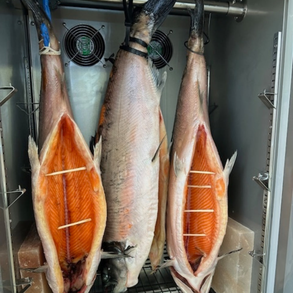 Dry-aging process of Ora King Salmon underway inside a professional aging unit, highlighting premium seafood preparation