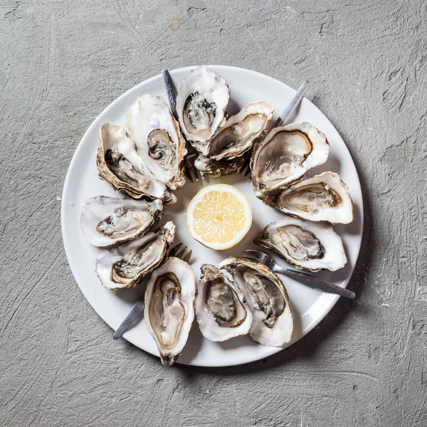 Opened oysters on a white plate with lemon wedges