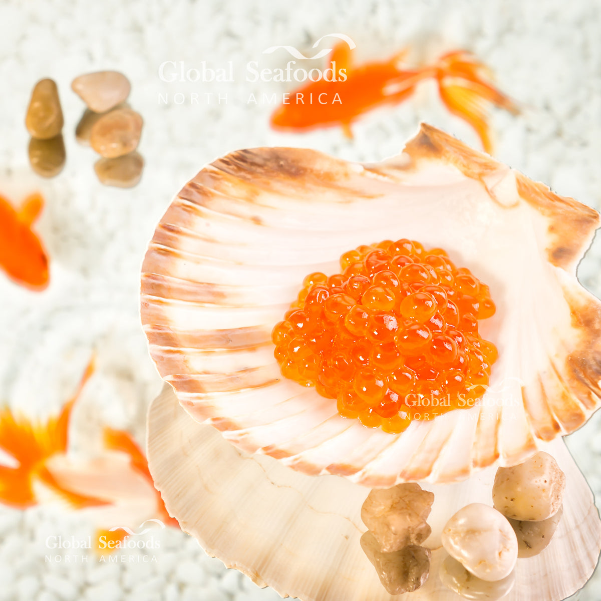 Orange king salmon roe served in a scallop shell on a reflective surface