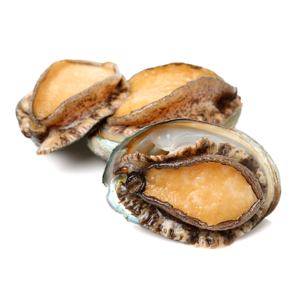 Fresh red abalone with shell, highlighting its natural texture, vibrant color, and premium seafood quality