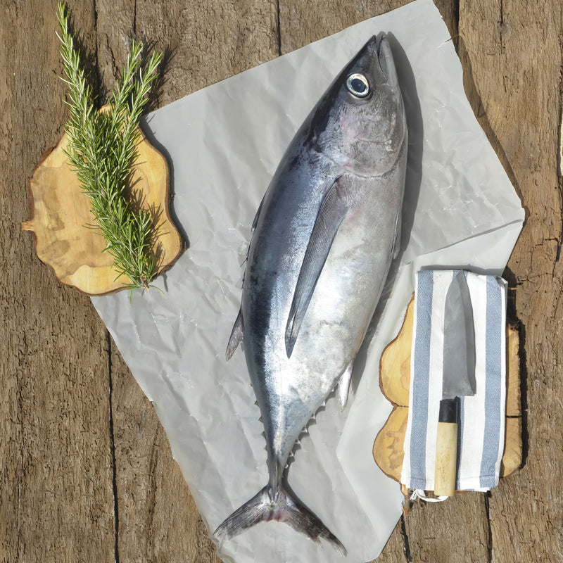 Whole albacore tuna on paper on a wooden table beside a fish knife