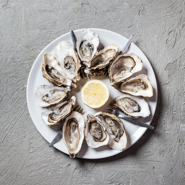 Opened oysters on a white plate with lemon wedges