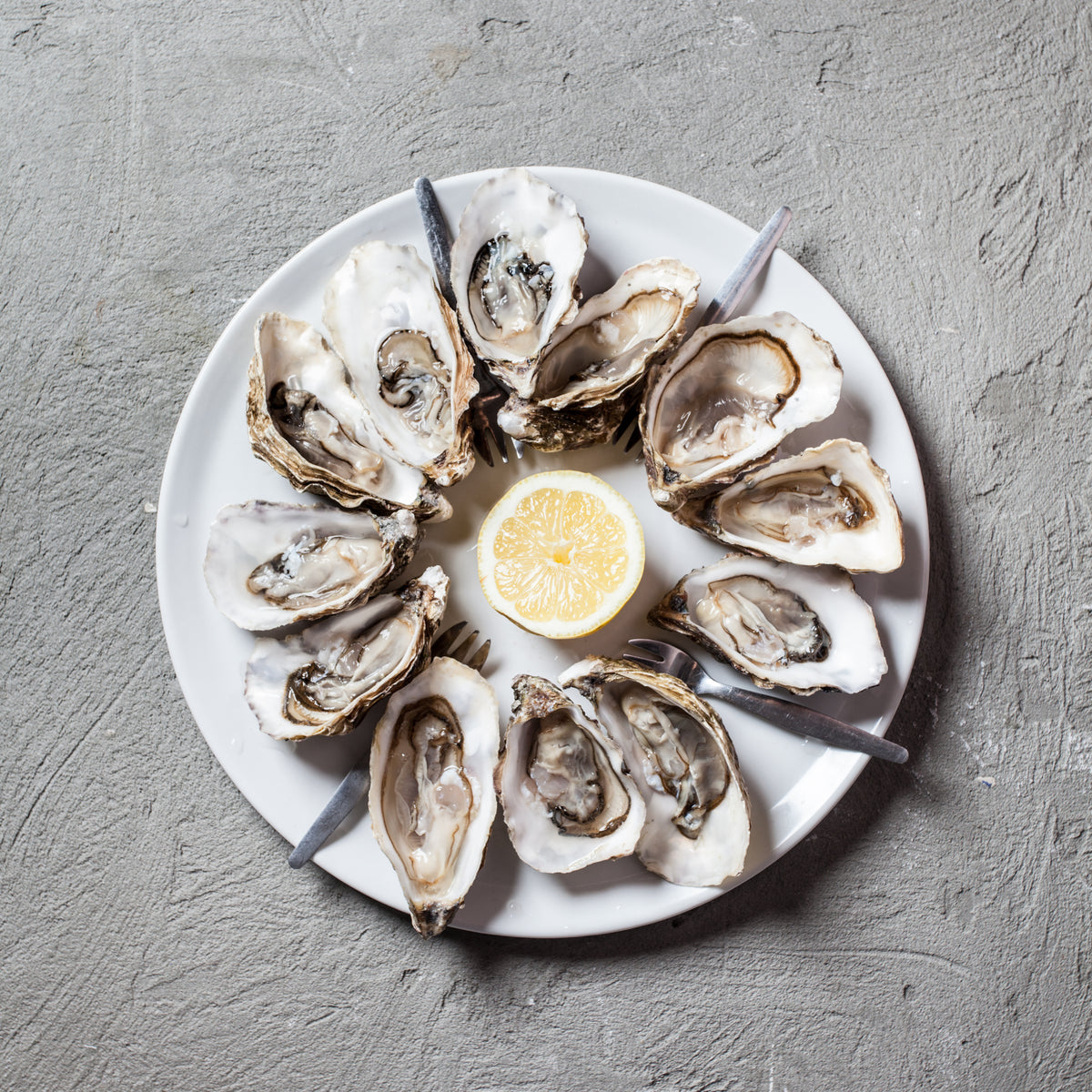 Opened oysters on a white plate with lemon wedges
