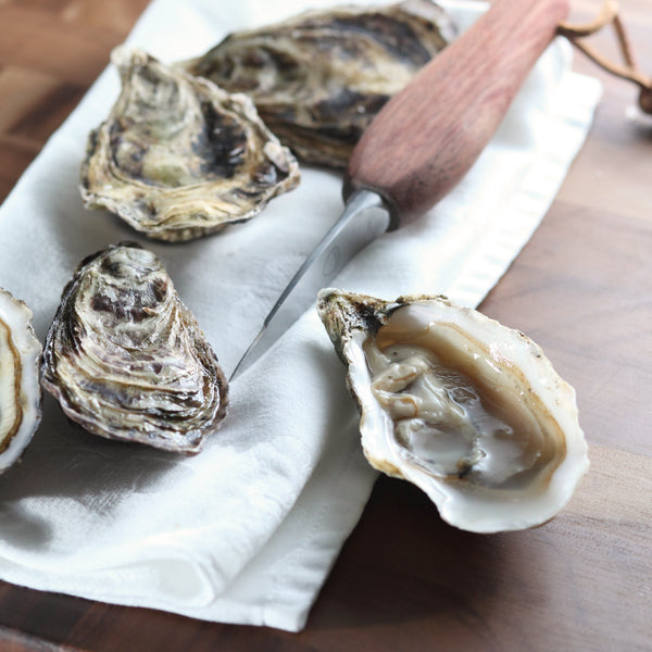 Open and closed oysters beside an oyster knife