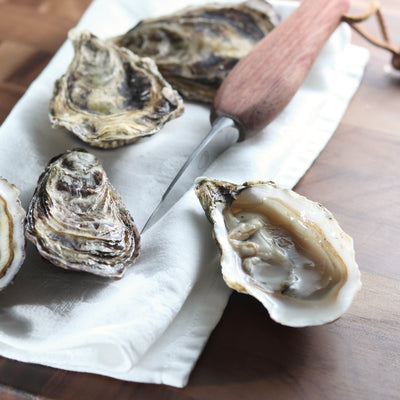 Cliff Point Petite Oysters - 50 PCS Live Pacific Oysters from Global Seafoods