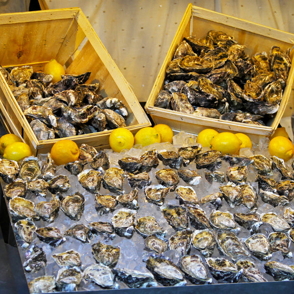 Oysters displayed on ice with boxes of oysters behind them