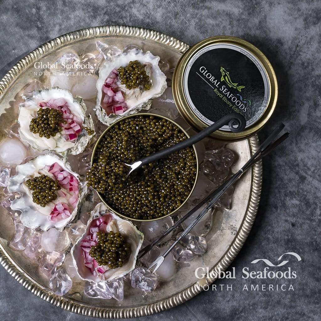 Open tin of Kaluga caviar with a black spoon on a metal tray with ice and four oysters topped with caviar and red onion