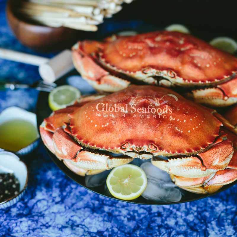 Cooked Dungeness crab presentation
