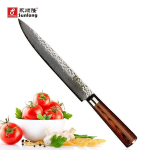Seenda Hand Forged Fish Knife, Professional Single Bevel Japanese Sushi  Knives for Fish Filleting & Slicing, Stainless Steel Knife with Handle and  Sheath 