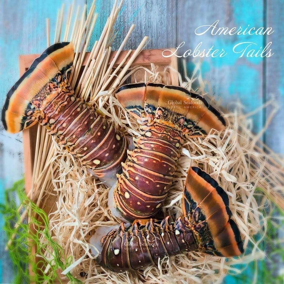 Three lobster tails on seaweed in a wooden tray