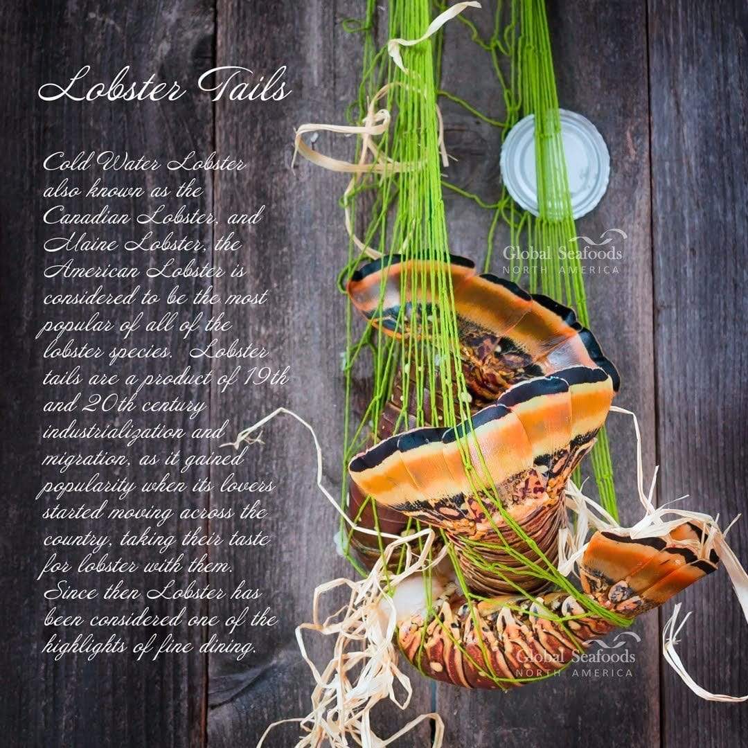 Lobster tails in a green net bag