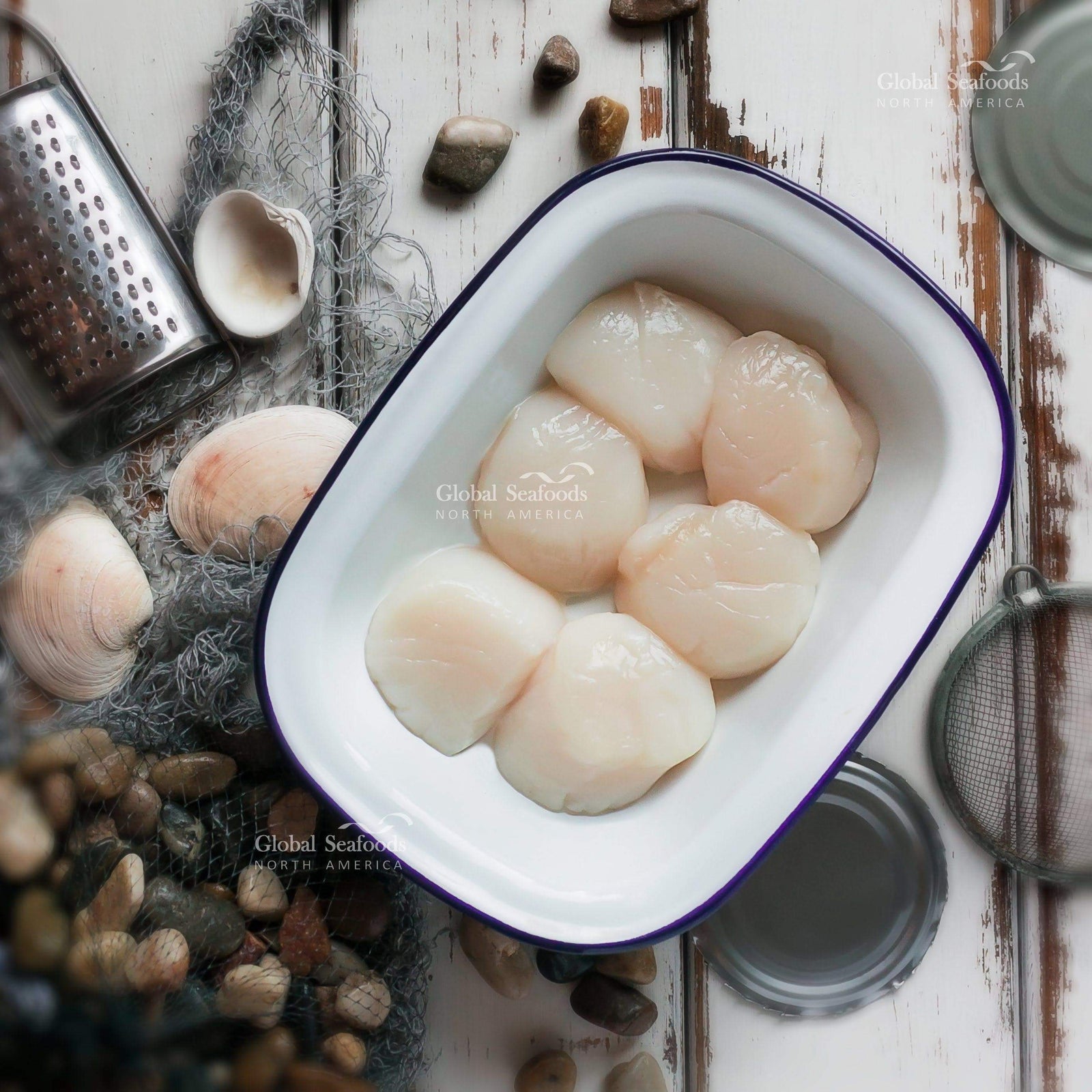 Buy Jumbo Sea Scallops WildCaught & Fresh Global Seafoods