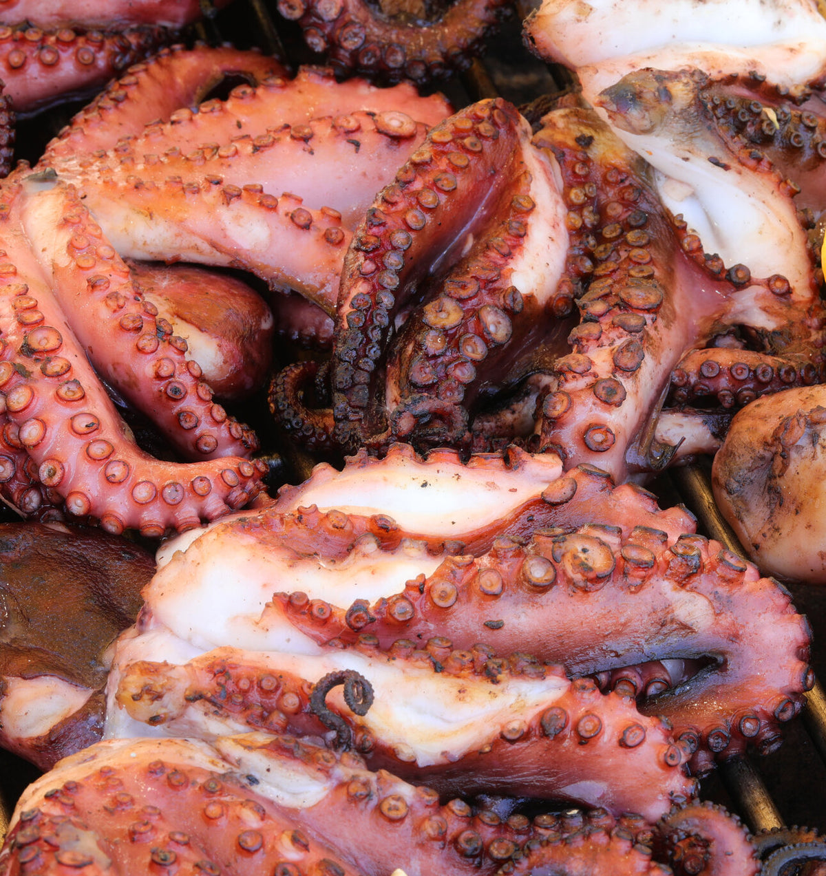 Octopus tentacles on a grill