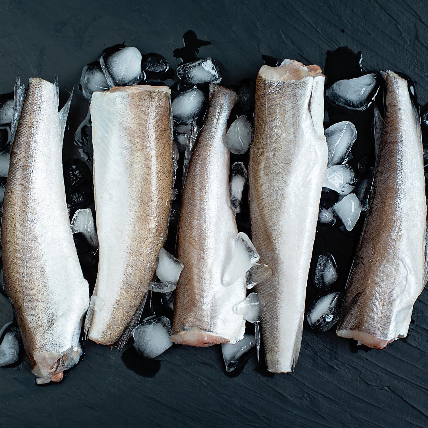 Pacific Whiting